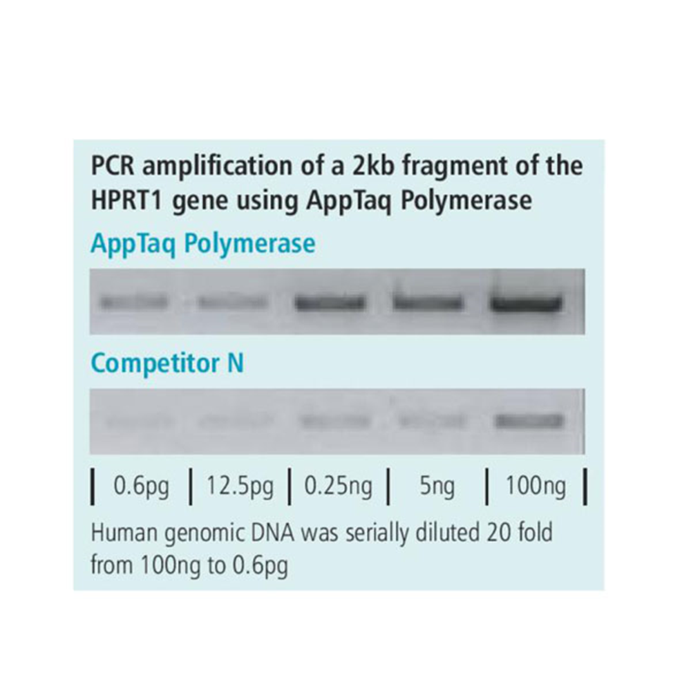 Picture of AppTaq Polymerase, 500 units